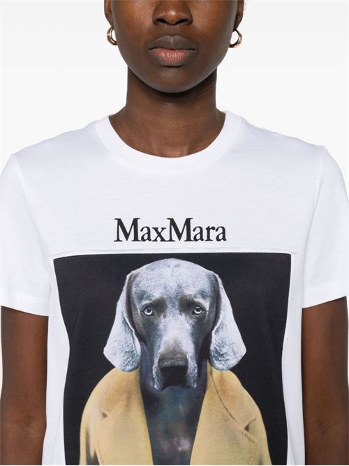 Powder T-shirt MAX MARA | 2421946071600CIPRIA014